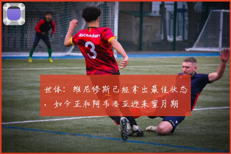 世体：维尼修斯已经拿出最佳状态，如今正和阿韦洛亚迎来蜜月期